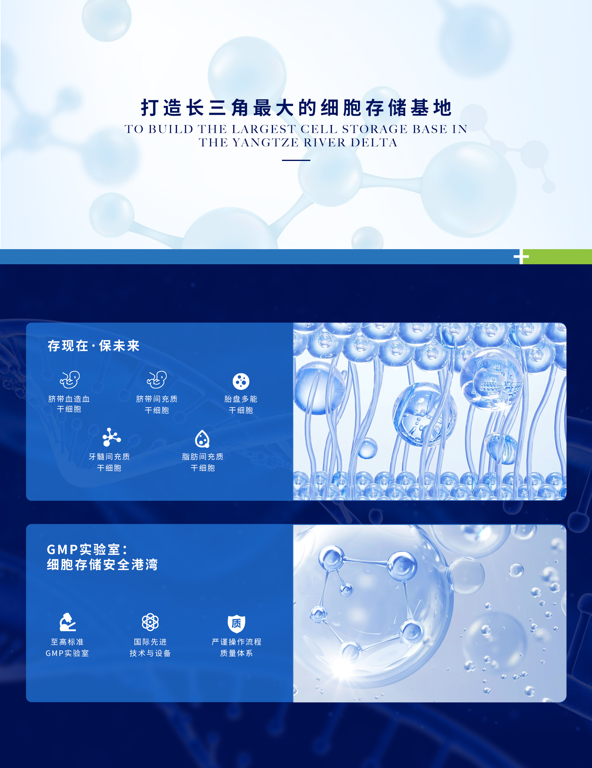 3-4细胞存储.jpg