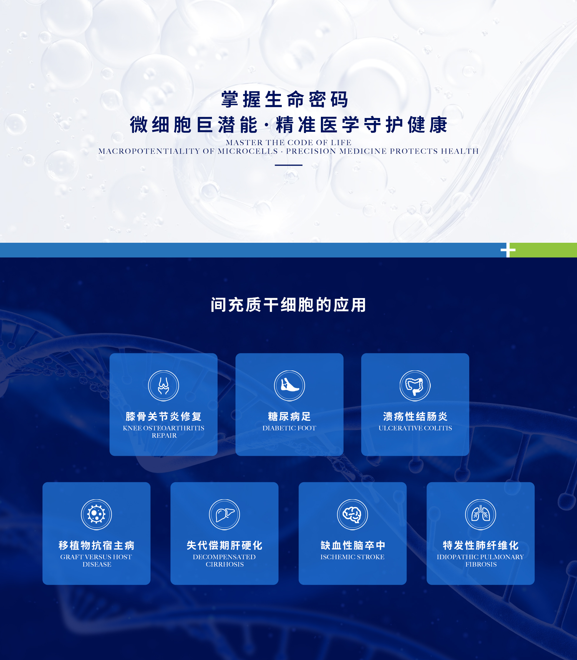 3-5细胞应用.jpg