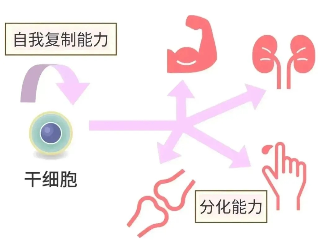 微信图片_20260311145718.jpg