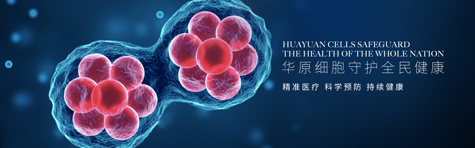 通栏图片